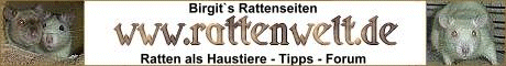 Banner von rattenwelt.de